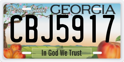 GA license plate CBJ5917