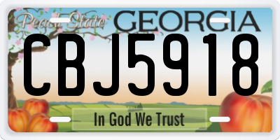 GA license plate CBJ5918