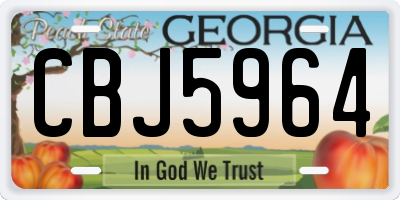 GA license plate CBJ5964