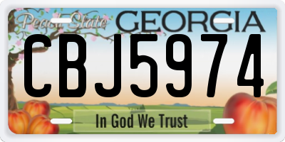 GA license plate CBJ5974