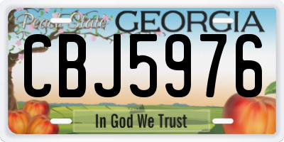 GA license plate CBJ5976