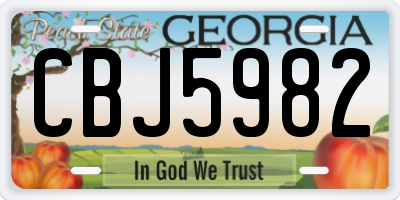 GA license plate CBJ5982