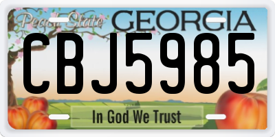 GA license plate CBJ5985