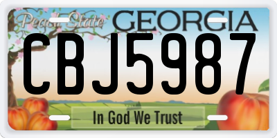 GA license plate CBJ5987