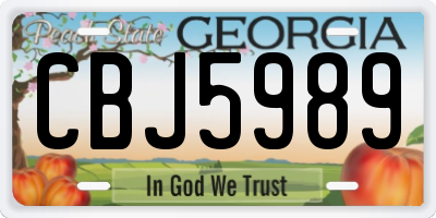 GA license plate CBJ5989
