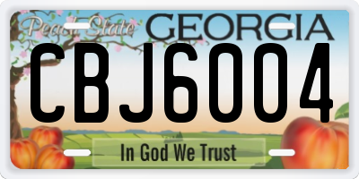 GA license plate CBJ6004