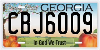 GA license plate CBJ6009