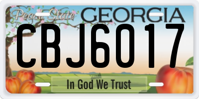 GA license plate CBJ6017