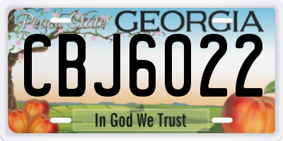 GA license plate CBJ6022
