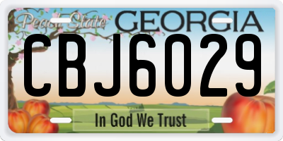 GA license plate CBJ6029