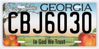 GA license plate CBJ6030