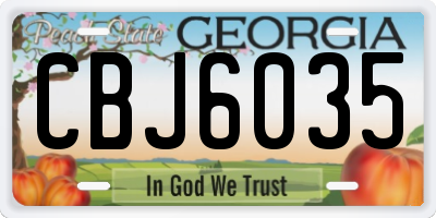GA license plate CBJ6035