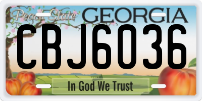 GA license plate CBJ6036