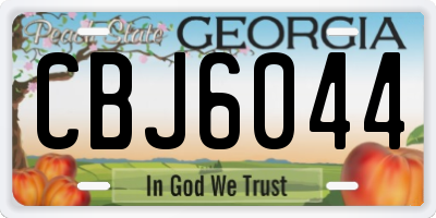 GA license plate CBJ6044
