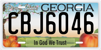 GA license plate CBJ6046