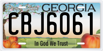 GA license plate CBJ6061
