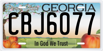 GA license plate CBJ6077