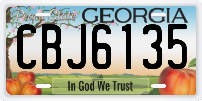 GA license plate CBJ6135