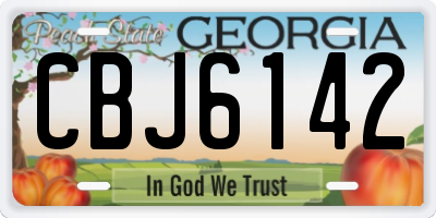 GA license plate CBJ6142