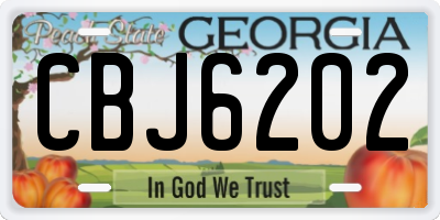 GA license plate CBJ6202