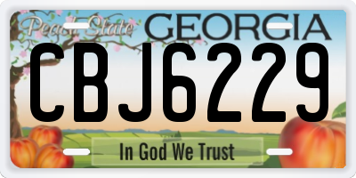 GA license plate CBJ6229