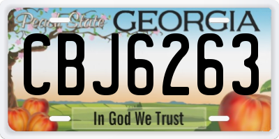 GA license plate CBJ6263