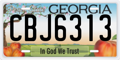 GA license plate CBJ6313