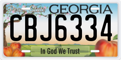 GA license plate CBJ6334