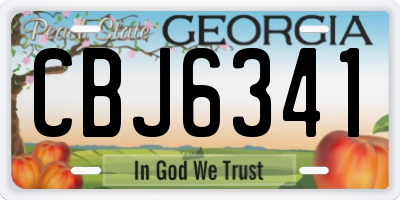 GA license plate CBJ6341