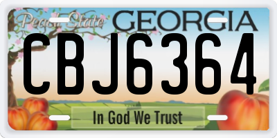 GA license plate CBJ6364