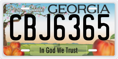 GA license plate CBJ6365