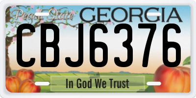 GA license plate CBJ6376