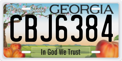 GA license plate CBJ6384