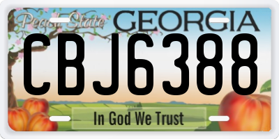 GA license plate CBJ6388