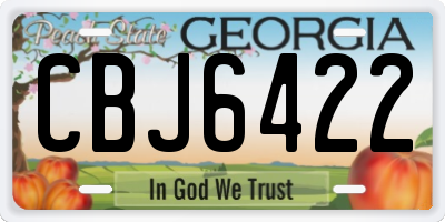 GA license plate CBJ6422