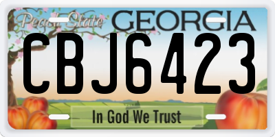 GA license plate CBJ6423