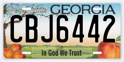 GA license plate CBJ6442
