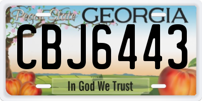 GA license plate CBJ6443
