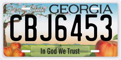 GA license plate CBJ6453