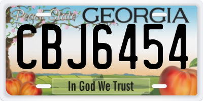 GA license plate CBJ6454