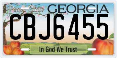 GA license plate CBJ6455