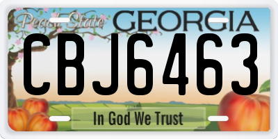 GA license plate CBJ6463