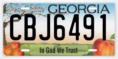 GA license plate CBJ6491
