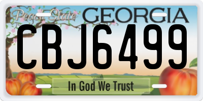GA license plate CBJ6499
