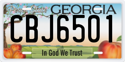 GA license plate CBJ6501