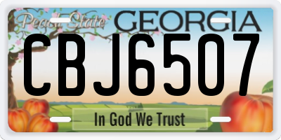 GA license plate CBJ6507