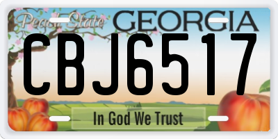 GA license plate CBJ6517