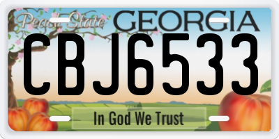 GA license plate CBJ6533