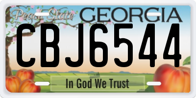 GA license plate CBJ6544