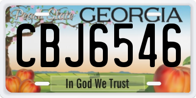 GA license plate CBJ6546